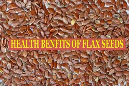 HEALTH BENEFITS OF FLAX SEED